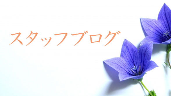 スタッフブログ